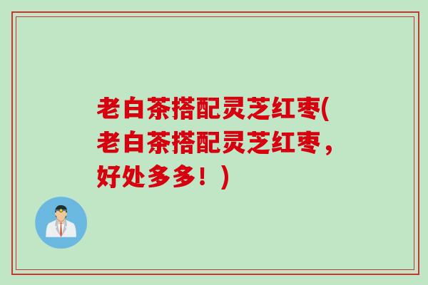 老白茶搭配灵芝红枣(老白茶搭配灵芝红枣，好处多多！)