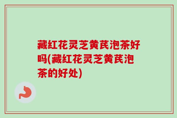 藏红花灵芝黄芪泡茶好吗(藏红花灵芝黄芪泡茶的好处)