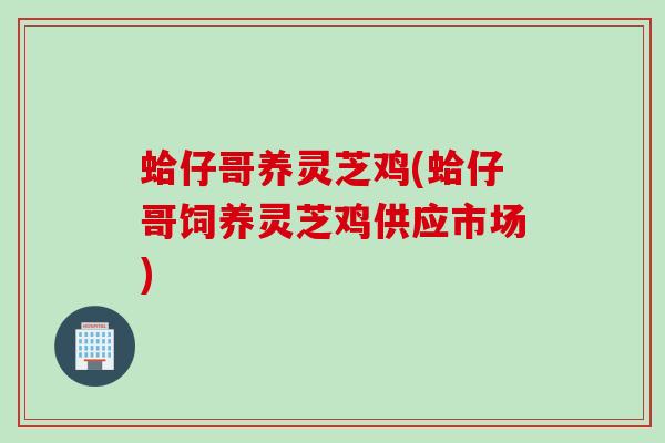 蛤仔哥养灵芝鸡(蛤仔哥饲养灵芝鸡供应市场)