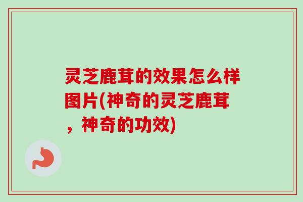 灵芝鹿茸的效果怎么样图片(神奇的灵芝鹿茸，神奇的功效)