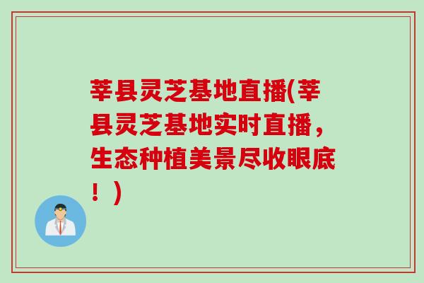 莘县灵芝基地直播(莘县灵芝基地实时直播，生态种植美景尽收眼底！)