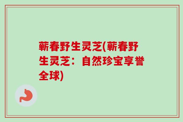 蕲春野生灵芝(蕲春野生灵芝：自然珍宝享誉全球)