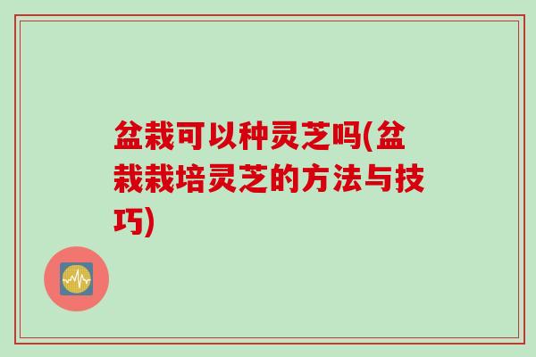 盆栽可以种灵芝吗(盆栽栽培灵芝的方法与技巧)