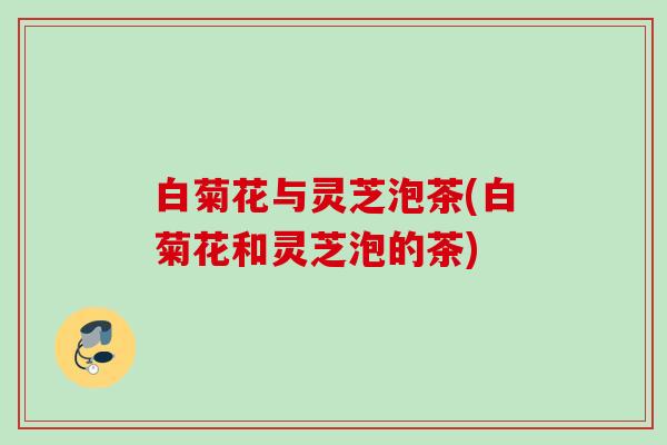白菊花与灵芝泡茶(白菊花和灵芝泡的茶)