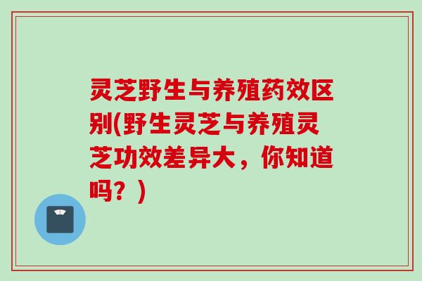 灵芝野生与养殖药效区别(野生灵芝与养殖灵芝功效差异大，你知道吗？)