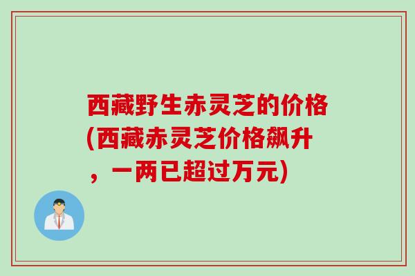 西藏野生赤灵芝的价格(西藏赤灵芝价格飙升，一两已超过万元)