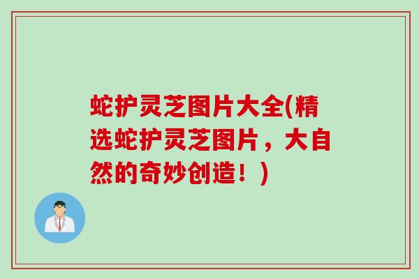 蛇护灵芝图片大全(精选蛇护灵芝图片，大自然的奇妙创造！)