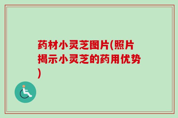 药材小灵芝图片(照片揭示小灵芝的药用优势)