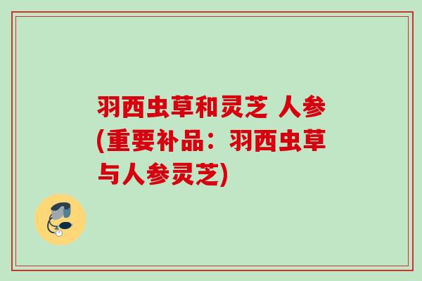 羽西虫草和灵芝 人参(重要补品：羽西虫草与人参灵芝)