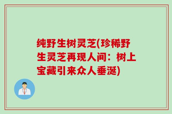 纯野生树灵芝(珍稀野生灵芝再现人间：树上宝藏引来众人垂涎)