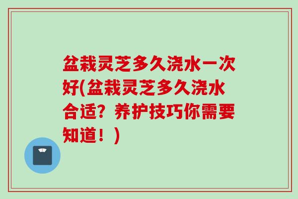 盆栽灵芝多久浇水一次好(盆栽灵芝多久浇水合适？养护技巧你需要知道！)
