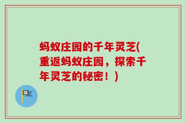 蚂蚁庄园的千年灵芝(重返蚂蚁庄园，探索千年灵芝的秘密！)