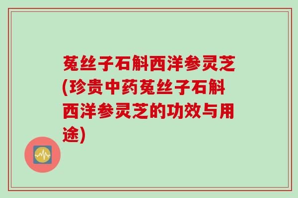 菟丝子石斛西洋参灵芝(珍贵中药菟丝子石斛西洋参灵芝的功效与用途)