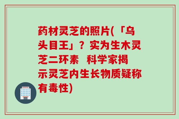 药材灵芝的照片(「乌头目王」？实为生木灵芝二环素  科学家揭示灵芝内生长物质疑称有毒性)