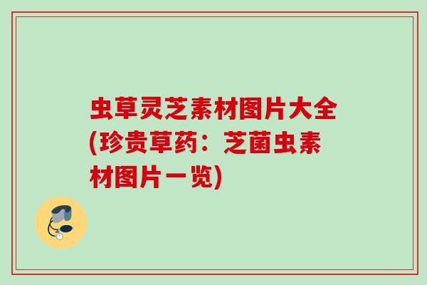 虫草灵芝素材图片大全(珍贵草药：芝菌虫素材图片一览)