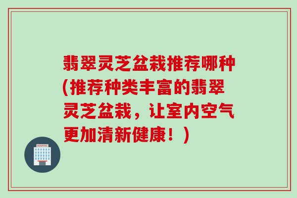 翡翠灵芝盆栽推荐哪种(推荐种类丰富的翡翠灵芝盆栽，让室内空气更加清新健康！)
