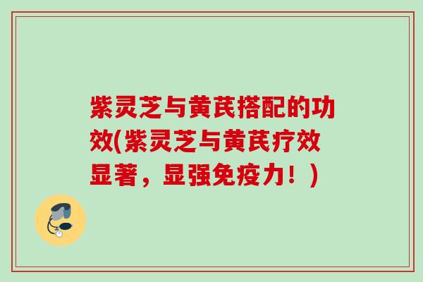 紫灵芝与黄芪搭配的功效(紫灵芝与黄芪疗效显著，显强免疫力！)