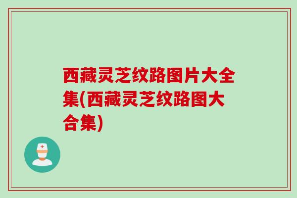 西藏灵芝纹路图片大全集(西藏灵芝纹路图大合集)