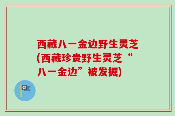 西藏八一金边野生灵芝(西藏珍贵野生灵芝“八一金边”被发掘)