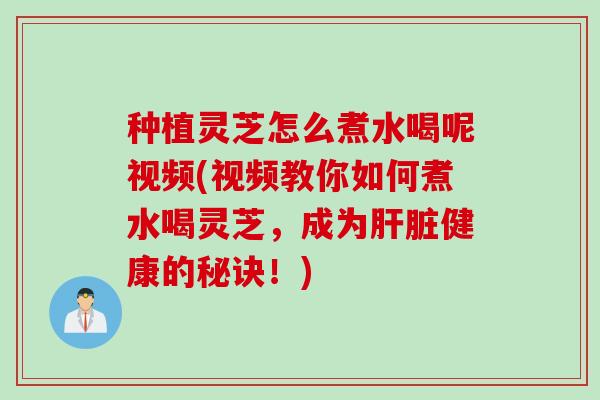 种植灵芝怎么煮水喝呢视频(视频教你如何煮水喝灵芝，成为肝脏健康的秘诀！)