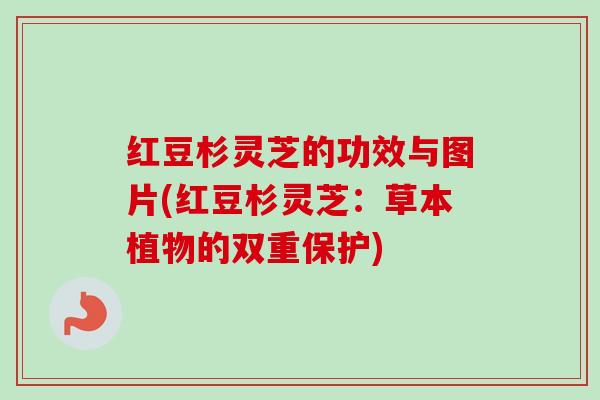 红豆杉灵芝的功效与图片(红豆杉灵芝：草本植物的双重保护)