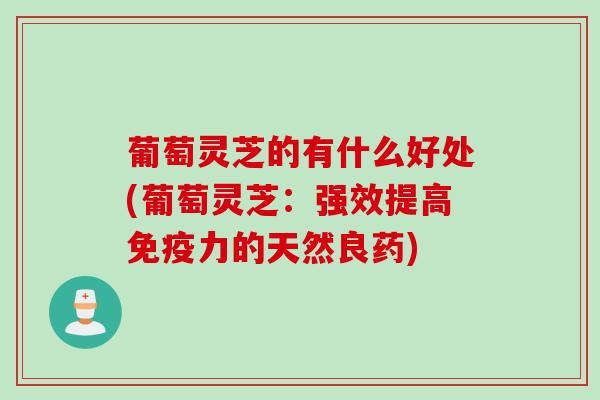 葡萄灵芝的有什么好处(葡萄灵芝：强效提高免疫力的天然良药)