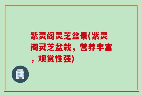 紫灵阁灵芝盆景(紫灵阁灵芝盆栽，营养丰富，观赏性强)