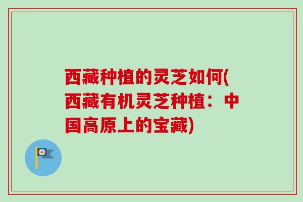 西藏种植的灵芝如何(西藏有机灵芝种植:中国高原上的宝藏) 西藏种植的灵芝如何(西藏有机灵芝种植:中国高原上的宝藏)