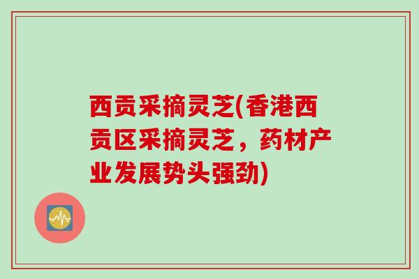 西贡采摘灵芝(香港西贡区采摘灵芝，药材产业发展势头强劲)