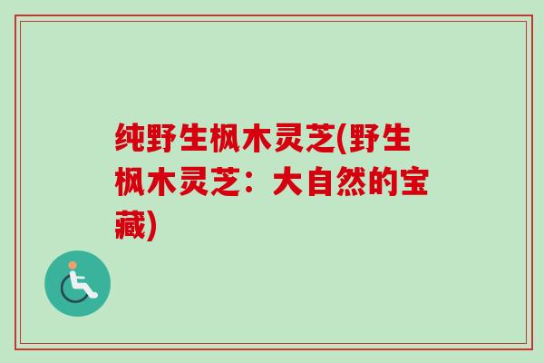 纯野生枫木灵芝(野生枫木灵芝：大自然的宝藏)