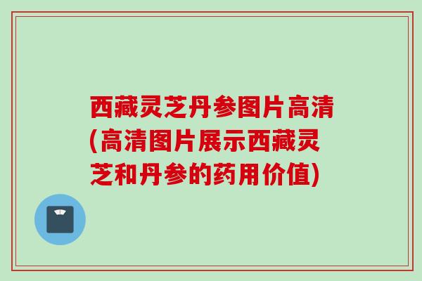 西藏灵芝丹参图片高清(高清图片展示西藏灵芝和丹参的药用价值)