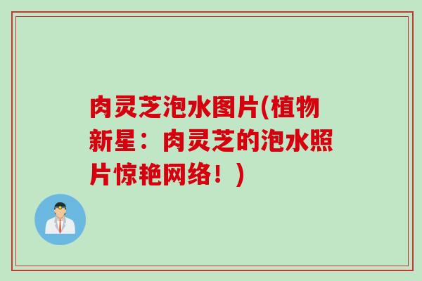 肉灵芝泡水图片(植物新星：肉灵芝的泡水照片惊艳网络！)