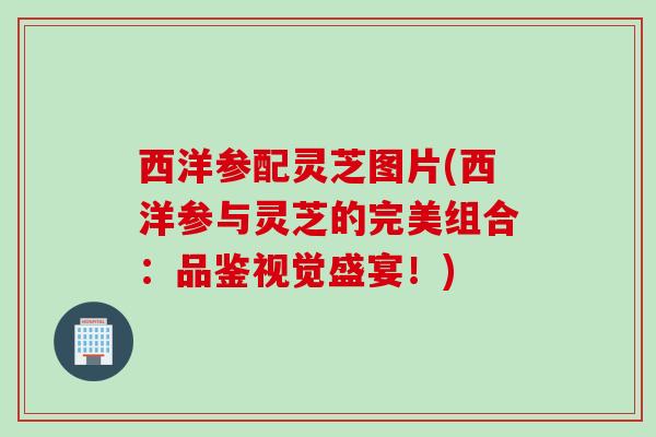 西洋参配灵芝图片(西洋参与灵芝的完美组合:品鉴视觉盛宴!) 西洋参配灵芝图片(西洋参与灵芝的完美组合:品鉴视觉盛宴!)