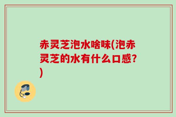 赤灵芝泡水啥味(泡赤灵芝的水有什么口感？)