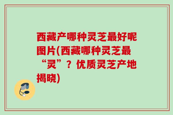 西藏产哪种灵芝最好呢图片(西藏哪种灵芝最“灵”？优质灵芝产地揭晓)