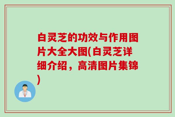 白灵芝的功效与作用图片大全大图(白灵芝详细介绍，高清图片集锦)