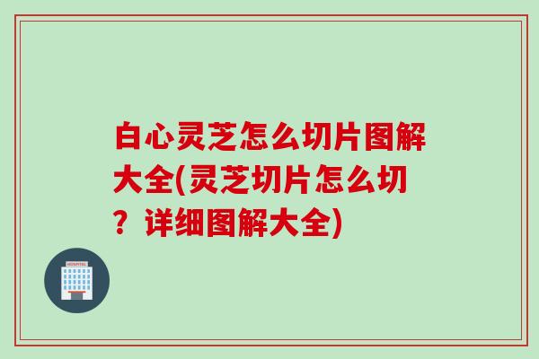 白心灵芝怎么切片图解大全(灵芝切片怎么切？详细图解大全)