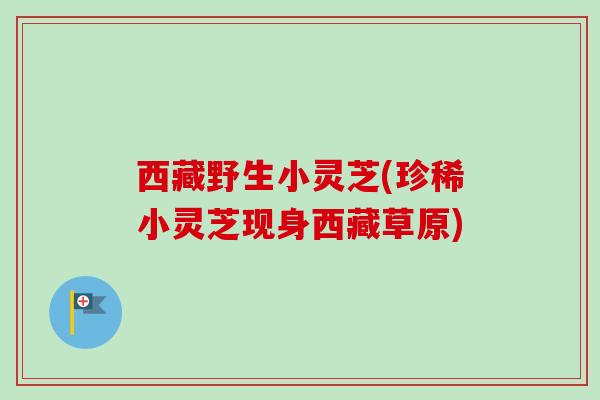 西藏野生小灵芝(珍稀小灵芝现身西藏草原)