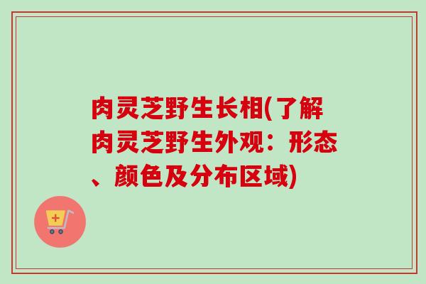 肉灵芝野生长相(了解肉灵芝野生外观：形态、颜色及分布区域)