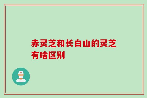 赤灵芝和长白山的灵芝有啥区别