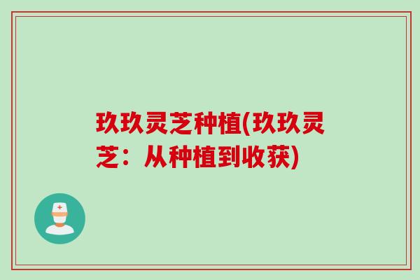 玖玖灵芝种植(玖玖灵芝：从种植到收获)