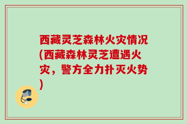 西藏灵芝森林火灾情况(西藏森林灵芝遭遇火灾，警方全力扑灭火势)