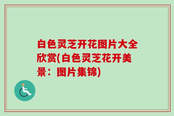 白色灵芝开花图片大全欣赏(白色灵芝花开美景:图片集锦) 白色灵芝开花图片大全欣赏(白色灵芝花开美景:图片集锦)
