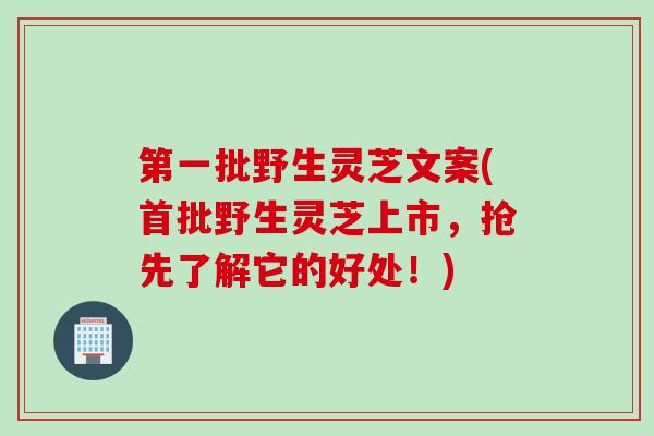 第一批野生灵芝文案(首批野生灵芝上市,抢先了解它的好处!) 第一批野生灵芝文案(首批野生灵芝上市,抢先了解它的好处!)