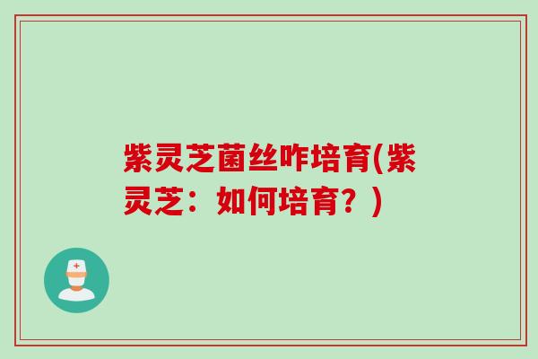 紫灵芝菌丝咋培育(紫灵芝:如何培育?) 紫灵芝菌丝咋培育(紫灵芝:如何培育?)