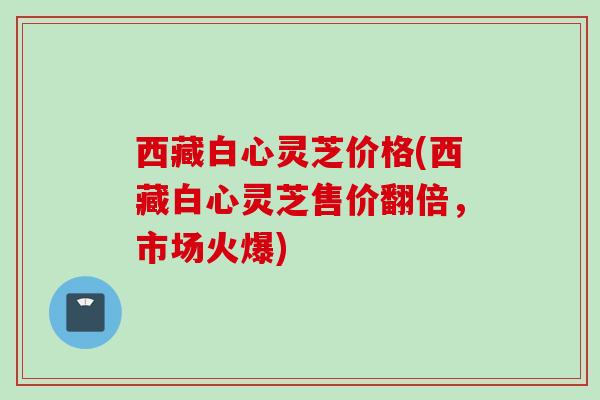西藏白心灵芝价格(西藏白心灵芝售价翻倍，市场火爆)