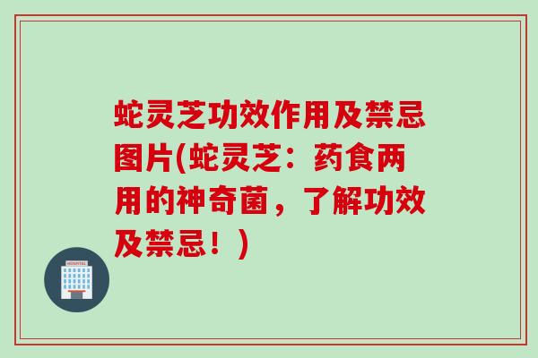 蛇灵芝功效作用及禁忌图片(蛇灵芝：药食两用的神奇菌，了解功效及禁忌！)