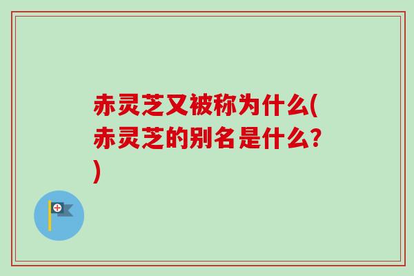 赤灵芝又被称为什么(赤灵芝的别名是什么？)