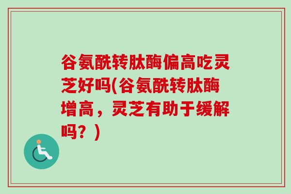 谷氨酰转肽酶偏高吃灵芝好吗(谷氨酰转肽酶增高，灵芝有助于缓解吗？)