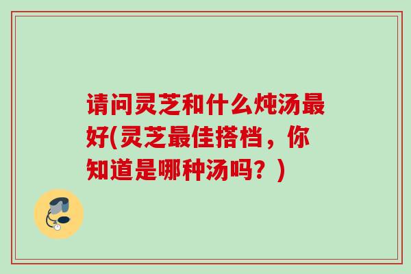 请问灵芝和什么炖汤最好(灵芝最佳搭档，你知道是哪种汤吗？)
